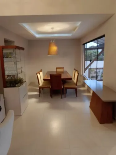 Pintor profissional 