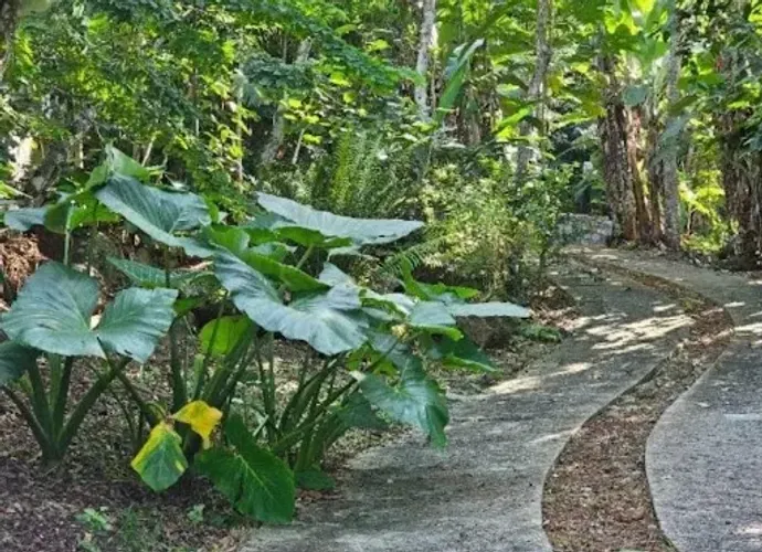 Terreno à venda, 1895 m² por R$ 1.020.000,00 - Jurere Leste - Florianópolis/SC