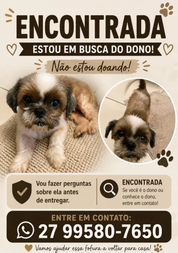 Shih tzu
