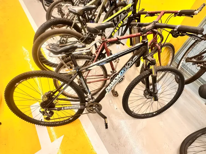 Bicicleta Diamondback Rattlesnake 29" - Aro 29 - Freios Hidráulicos Shimano Alivio