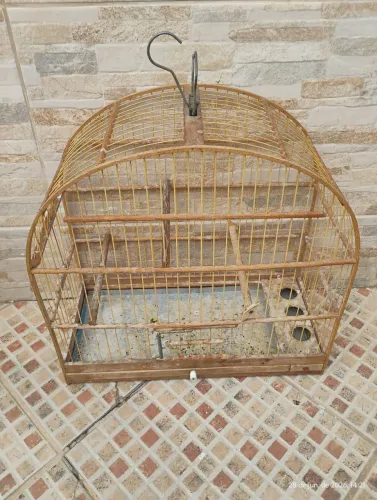 Gaiola