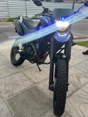 Lander 2020