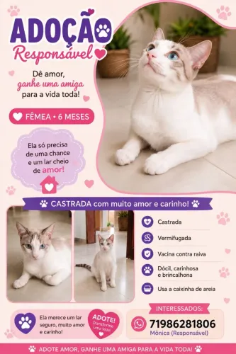 Gata 