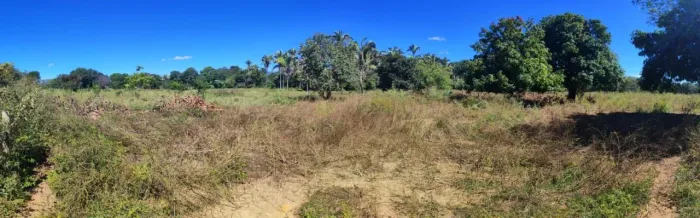 Fazenda 21 Hectares 