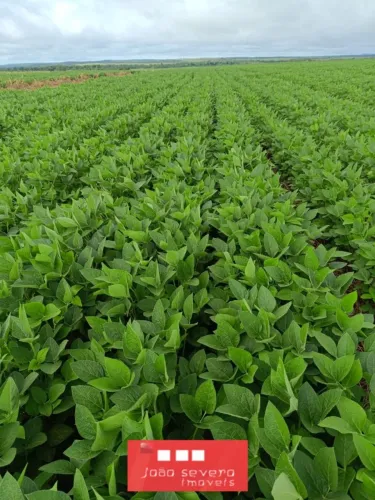 Fazenda para Venda em Paranatinga