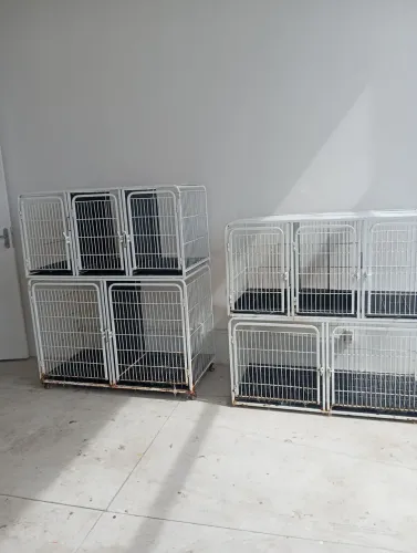 Conjunto de gaiolas para banho e tosa