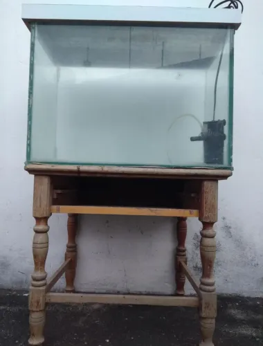 Aquário Terrario