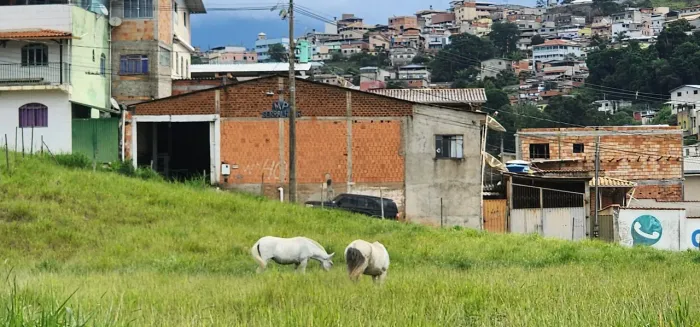 Galpão germinado com residência