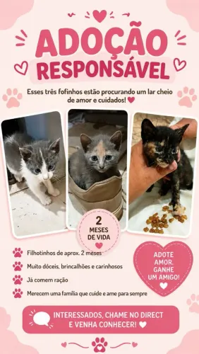 Doação