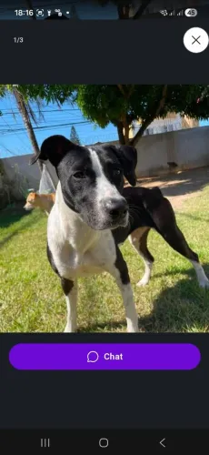 Doação