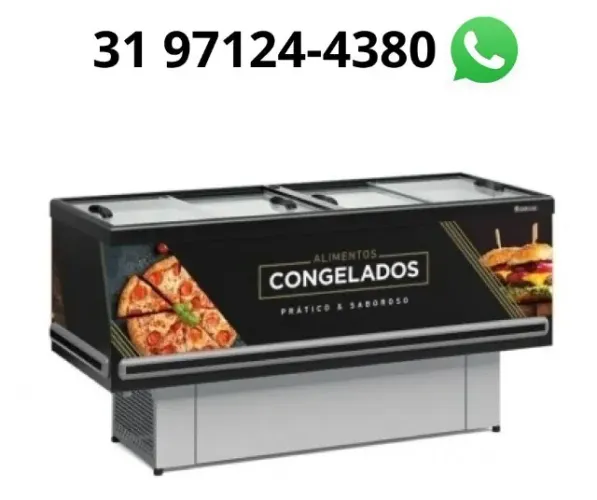 Ilha de Congelados 2M Vidro Reto Gelopar