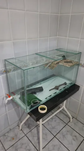 Aquaterrário Completo para Tartaruga 200L a 300L + Filtro e Aquecedor