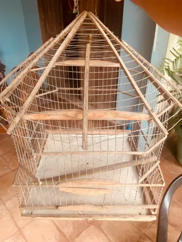 Gaiola bonita