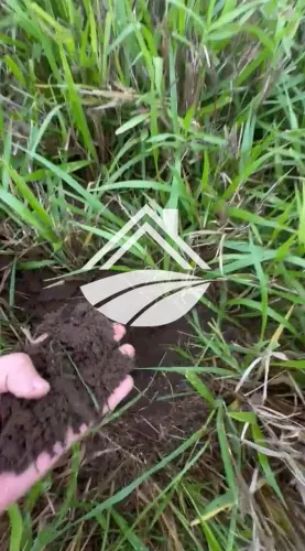 Fazenda para Venda em Araguaína, Área Rural de Araguaína