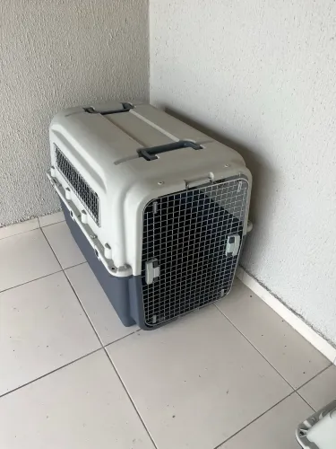 Caixa de Transporte Pet padrão IATA