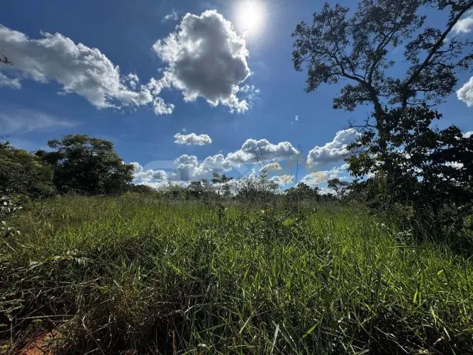 Terreno à venda na área rural de São Gonçalo do Pará com 4,5 ha.