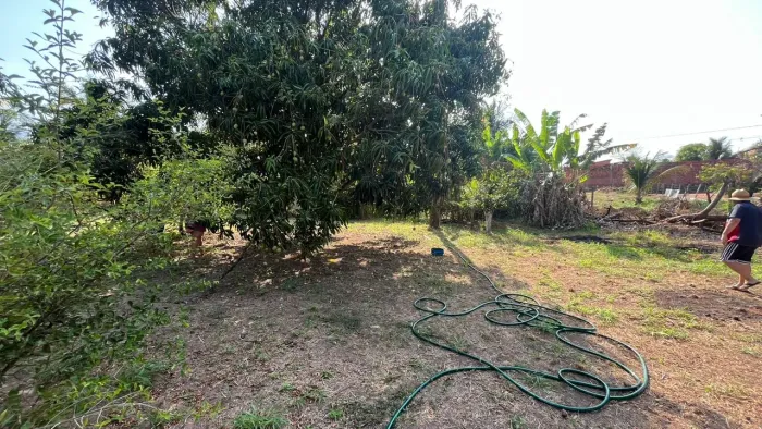 Terreno no andiroba 