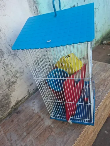 Gaiola para hamster