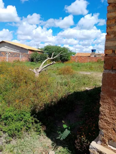 Terreno povoado de caiçara