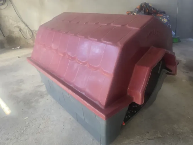 Casinha de cachorro tamanho 7 grande