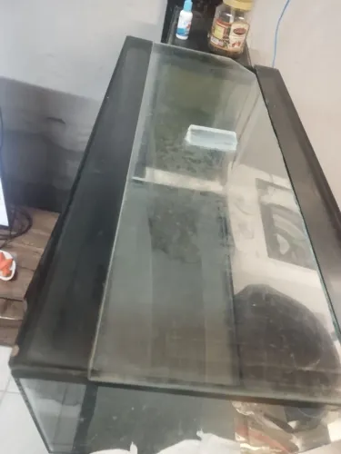Aquário 