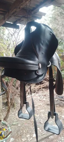 Cela para cavalo