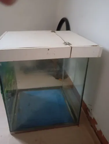 Aquário 100 litros