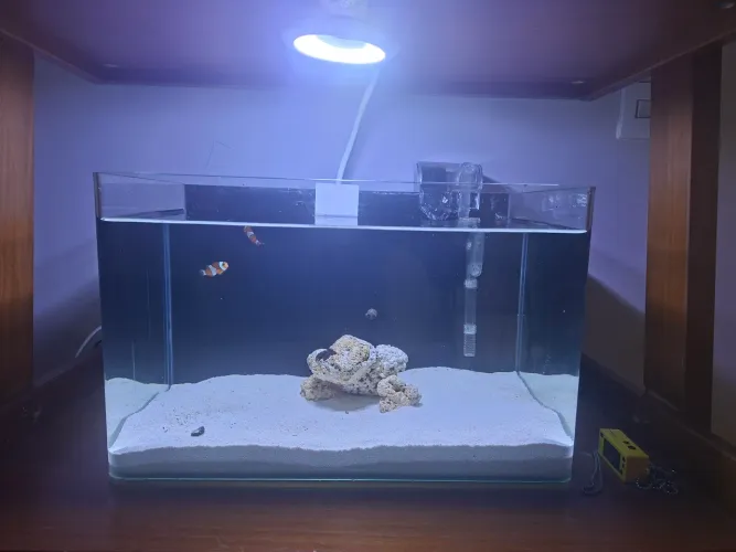 Aquario curvo oceantech 