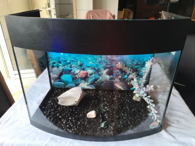 Aquário boyu 50 litros 
