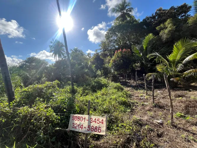 Vendo Terreno no Povoado Aningas 333mª