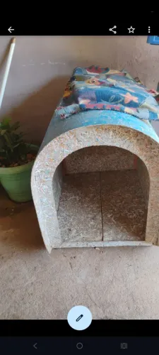 Casinha de cachorro