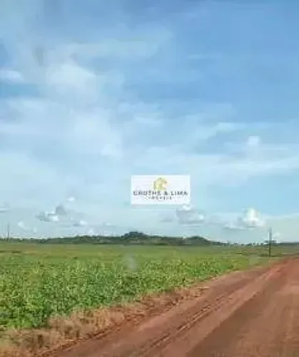 Excelente fazenda à venda na região do município de Goiatins-TO.