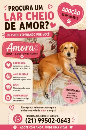 Doação - Cachorrinha porte pequeno