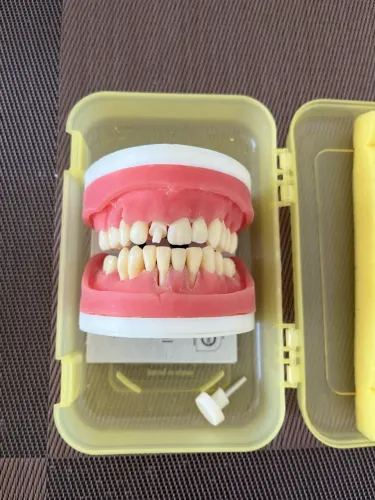 Manequim de Cirurgia/Periodontia PD110 - Pronew