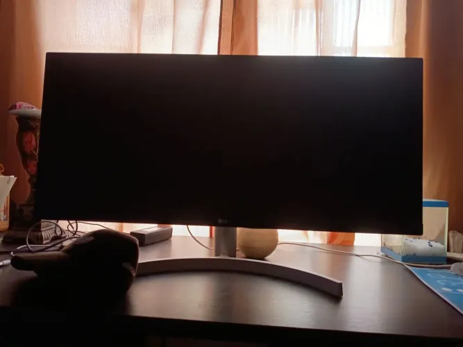 Monitor 29 polegadas LG