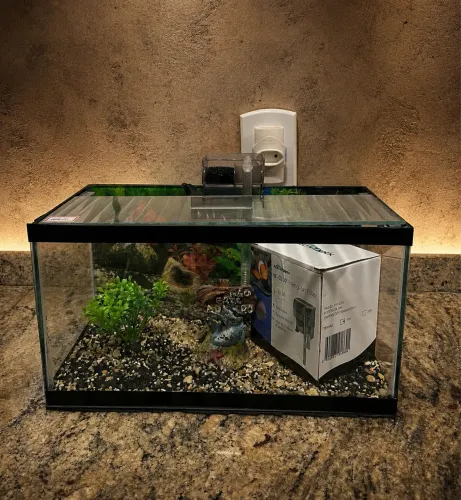 Aquário Completo Nano 12L com Filtro Cascata + Brinde- SIM, está disponível!
