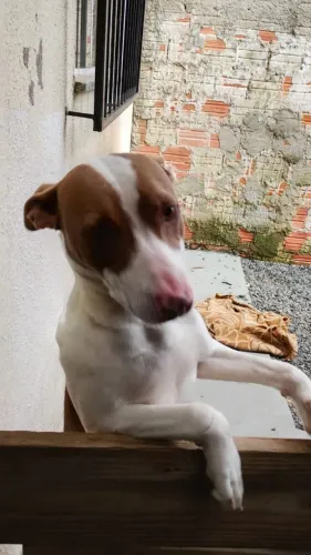 Doação
