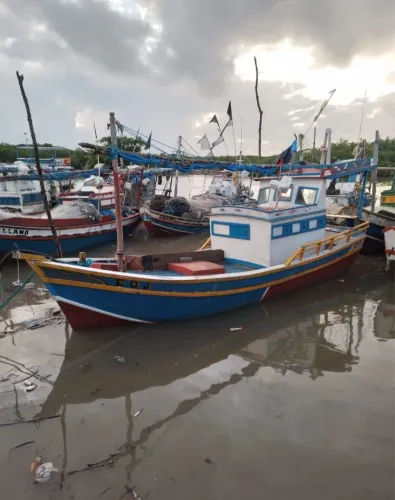 Barco para pesca