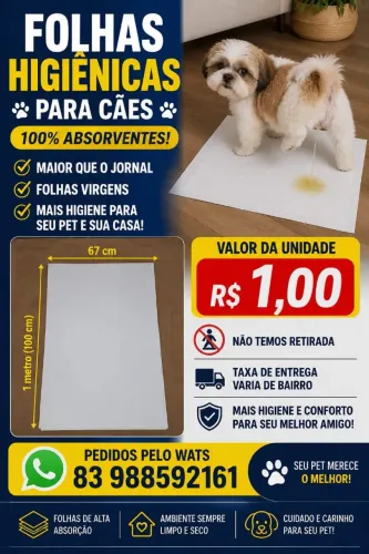 Folhas higiênicas para cães e gatos venda de folhas jornais para pets 100% absorventes