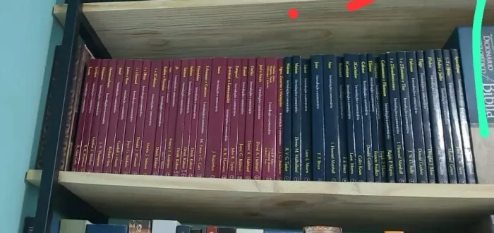 Comentário bíblico Vida Nova 45 vol AT e NT.( de bolinhas)
