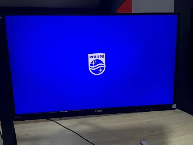 Monitor Philips 21? (modelo 221V8)