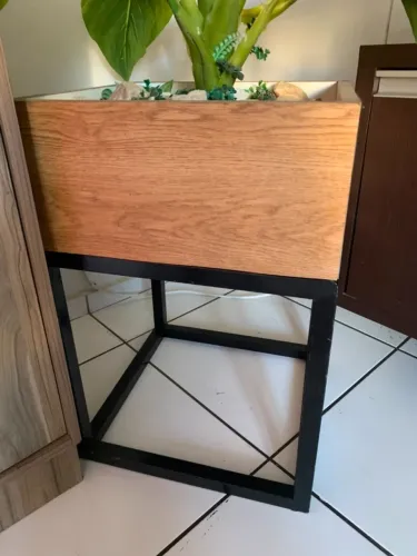 Planta Decorativa