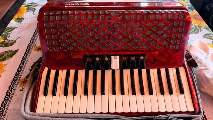 Acordeon Sanfona Dolphin 120 baixos