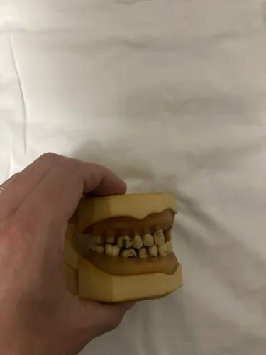 Modelo Odontologia Saúde Dentistica e Prótese