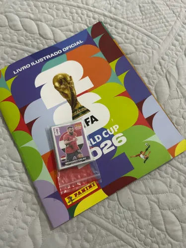 Vendo álbum da copa,com legendy e mais repetidas