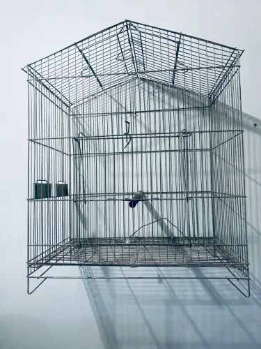 Viveiros para aves em aço. 
