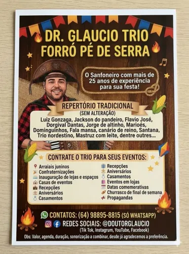 Sanfoneiro 