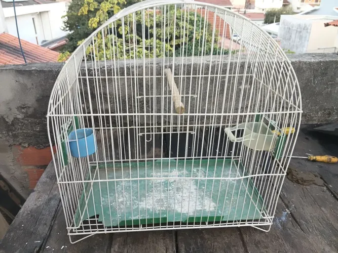 Gaiola para passarinho
