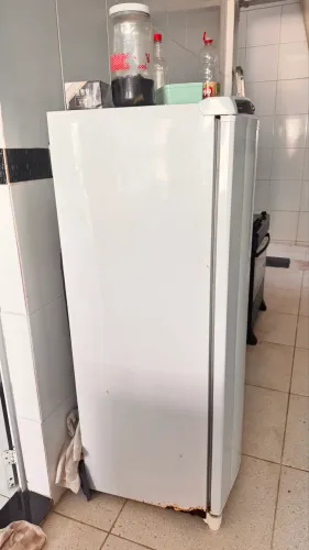 Freezer vertical consul