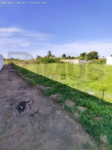 Lotes de 272m² à venda no Bairro Mosqueiro;